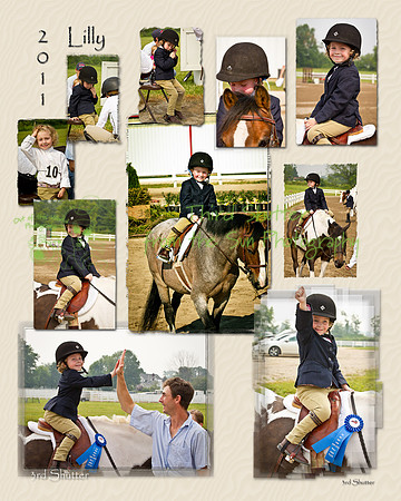 Lilly Yinger Collage - R1