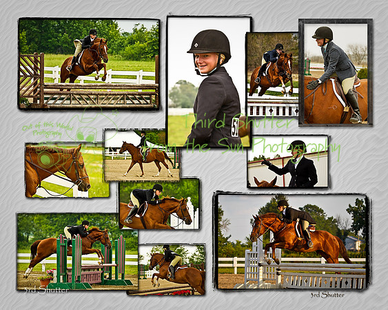 2011 Sara Santisi Collage - R8