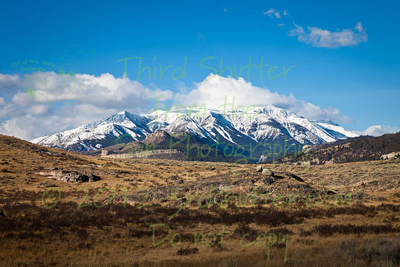 _MG_3042