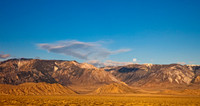 _MG_2950-Edit