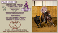 Spikenard Farms Banner - R5