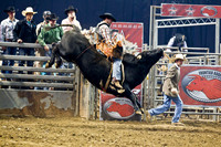 PBR Toledo 2011