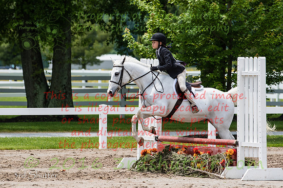 BV2A0378