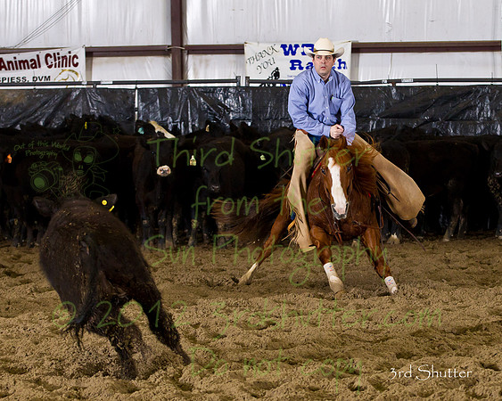 BN1C0798