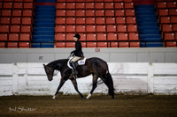 Hunter - 2&3 yr olds Snaffle Bit