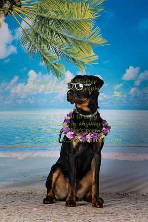 BV2A5309-Edit-3