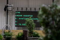 BV2A0043