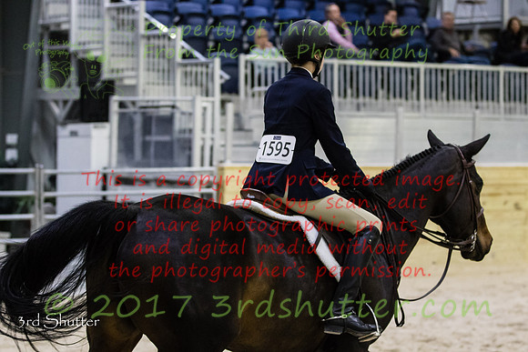 BV2A6914