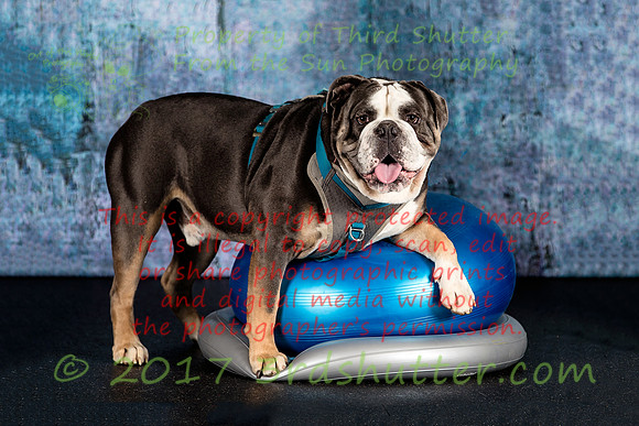 A18I5559-Edit-2-Edit-2