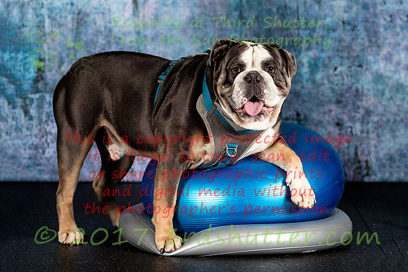 A18I5559-Edit-2-Edit