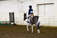BN1C2004