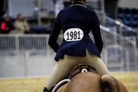 1981