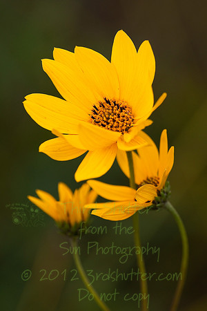 _B2D2600-Edit