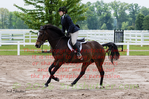 BV2A0036