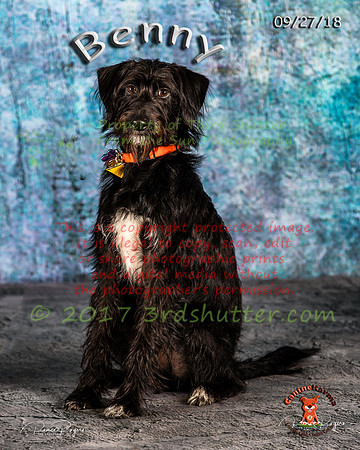 A18I0164-Edit
