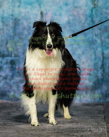 A18I0129