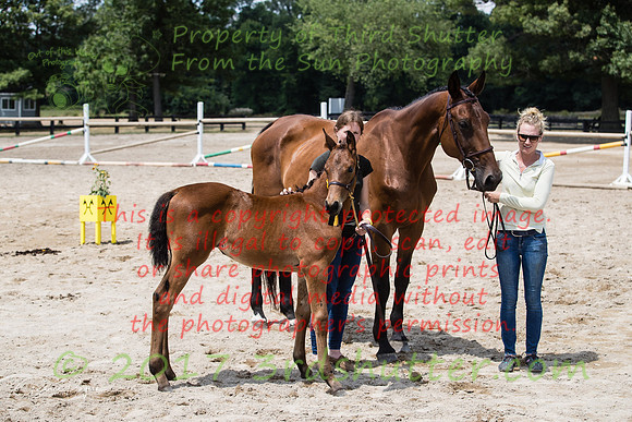 A18I3744