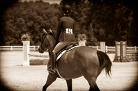 BN1C2775