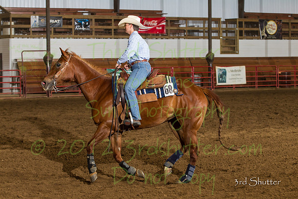 BN1C3570