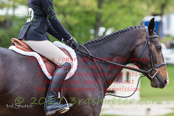 0M3A0289