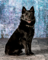 A18I5144-Edit-3