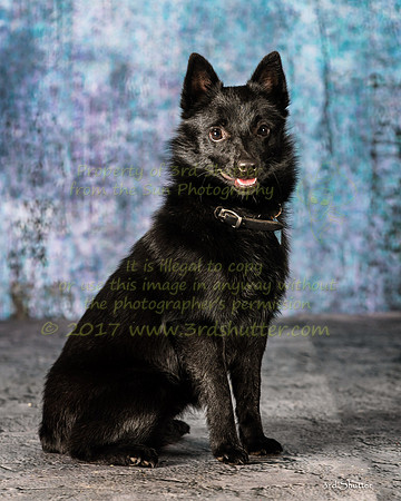 A18I5144-Edit-3