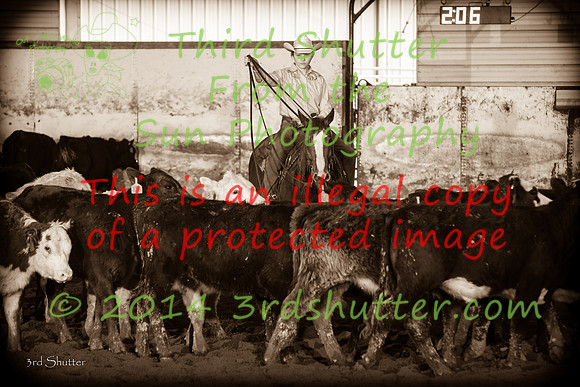 F43Q0036-2