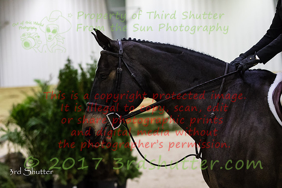 BV2A3424
