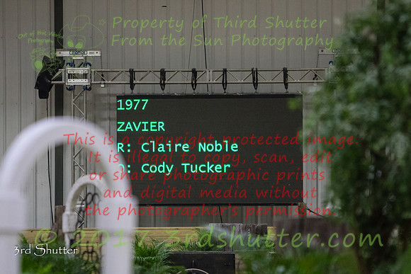 0E5A6577