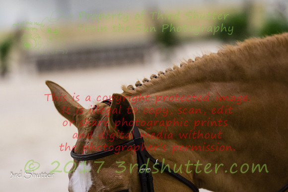 BV2A2944
