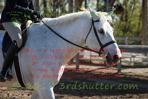 BV2A4509
