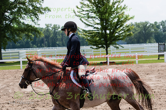 BV2A0512