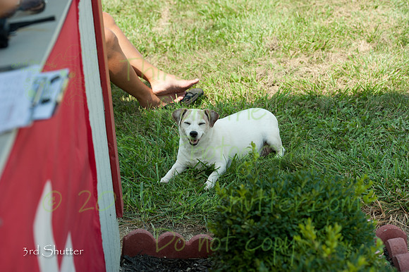 _DSC5877