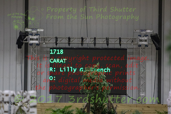 0E5A7759