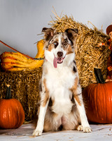 IMG_2298-Edit