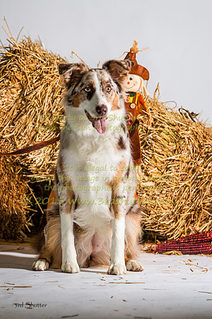 IMG_2304-Edit