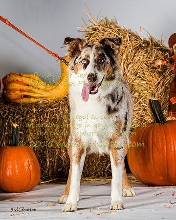 IMG_2299-Edit
