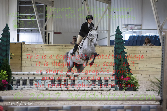 0E5A1387-2