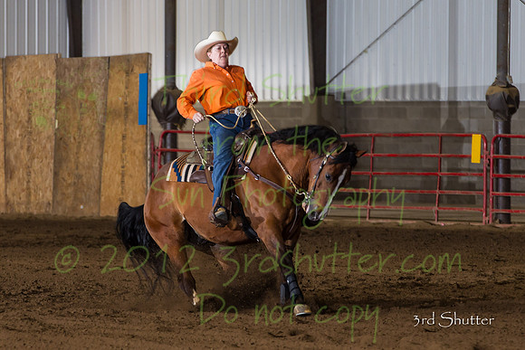 BN1C1799