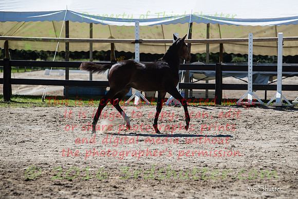 A18I7294