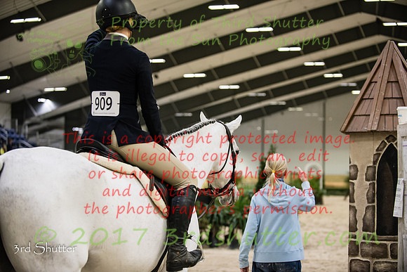 _1SF1249