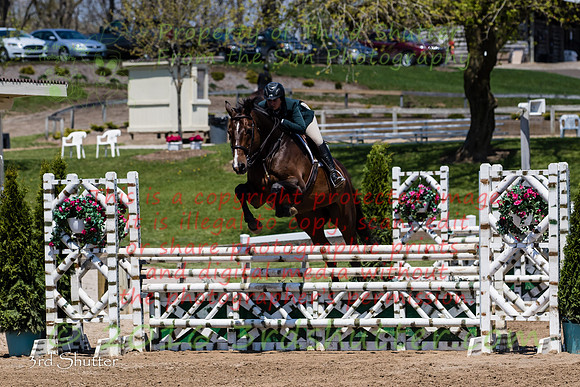 BV2A9519