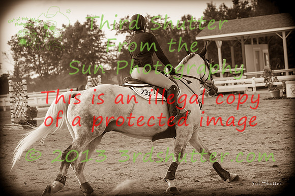 130816_WalkTrot_0363