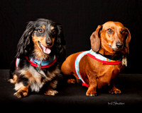 IMG_4946-Edit