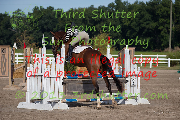 F43Q1346