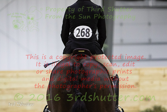 0E5A8381