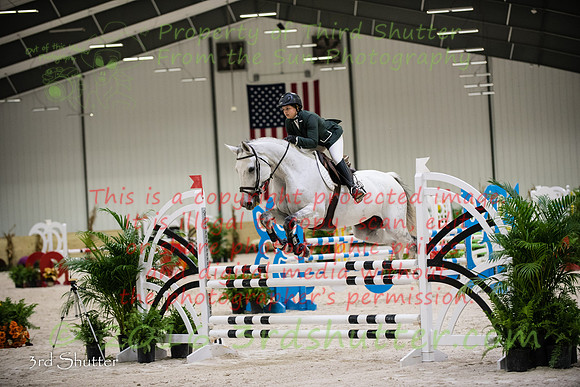 SF1_9099