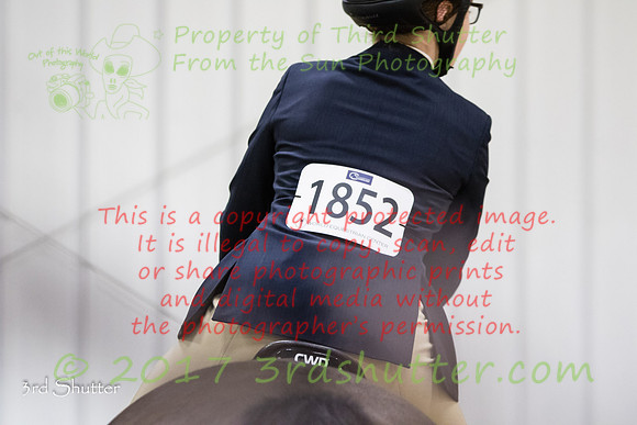 0M3A1453