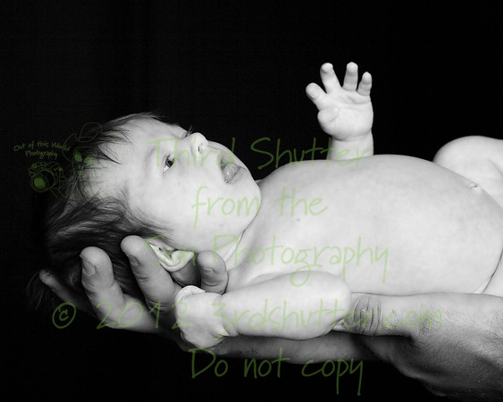 _MG_1284-Edit-Edit