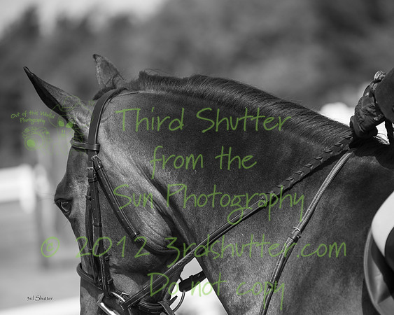 _DSC5498-Edit-2